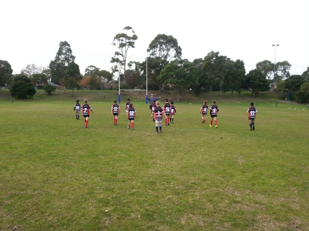 20170603_101147_resized