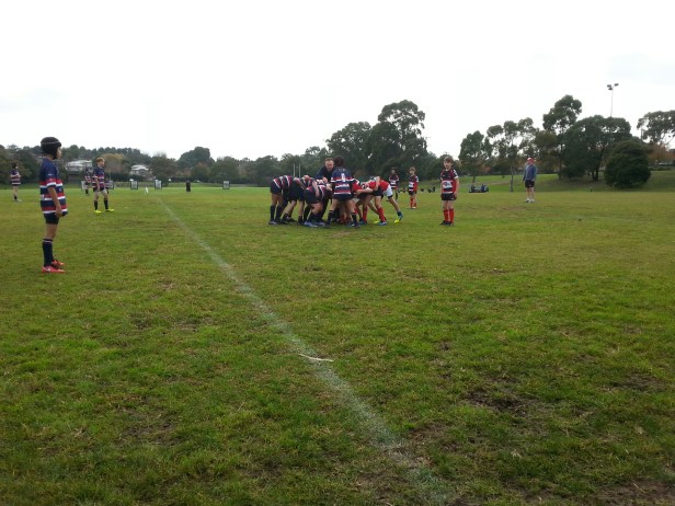 20170603_101612_resized